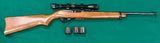 Ruger 10-22